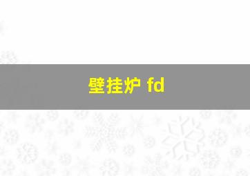 壁挂炉 fd